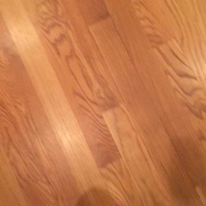 Meet your Posher, Luisa